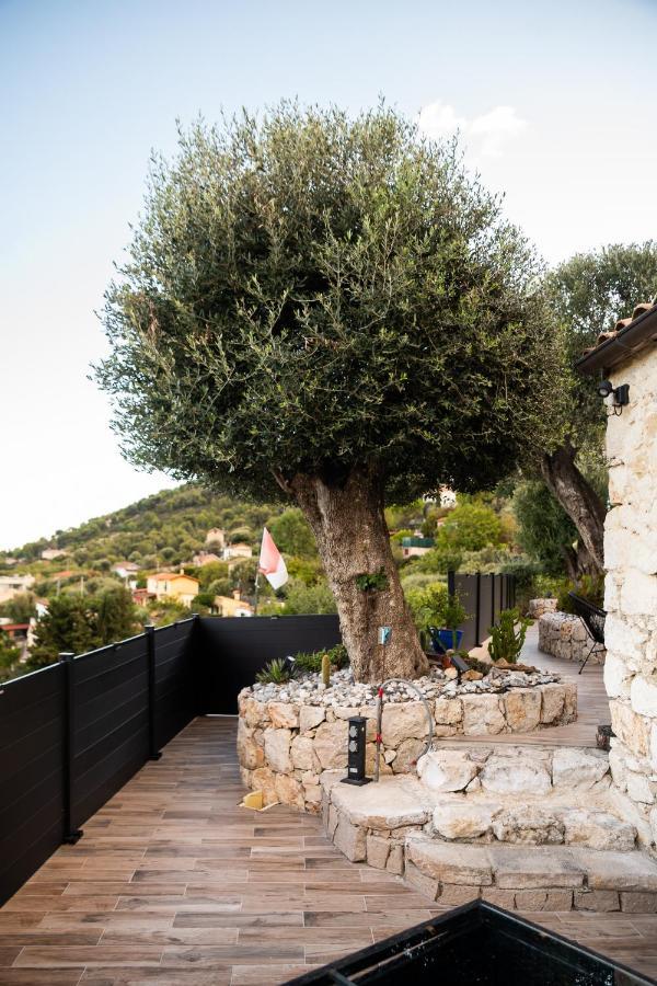 Le Petit Jardin Exotique Villa Beausoleil Exterior foto